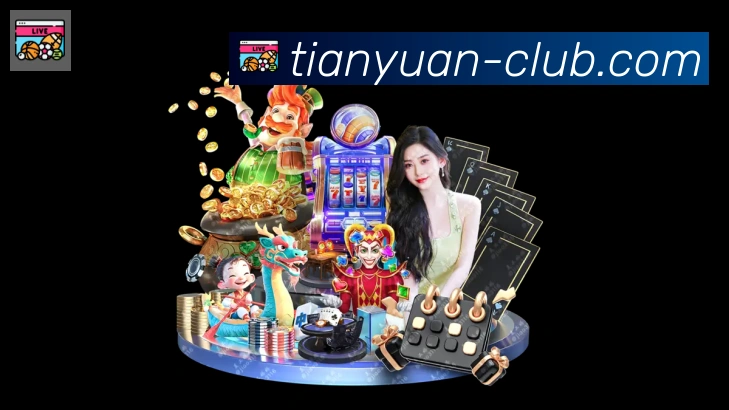 未来规划